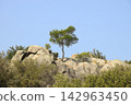 Herakleia at Latmus (Latmos) view of Athena Temple. Bafa Lake, Milas, Turkey. Besparmak Mountains 142963450