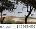 Fishing boats moored along the shore of Lake Bafa in Turkey. Selective Focus. 142963454