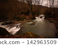 Flowing river in the forest, long exposure 142963509