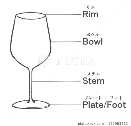 Illustration of the name of each part of a wine glass Illustration of the name of each part of a wine glass 142963582