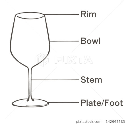 Illustration of the name of each part of a wine glass Illustration of the name of each part of a wine glass 142963583