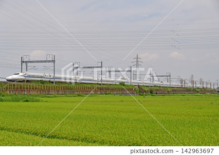 Tokaido Shinkansen, Shin-Yokohama - Odawara, JR Central, N700S series, J7 formation (Tokyo), Nozomi, Hikari, Kodama Tokaido Shinkansen, Shin-Yokohama - Odawara, JR Central, N700S series, J7 formation (Tokyo), Nozomi, Hikari, Kodama 142963697