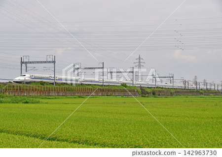 東海道新幹線、新橫濱~小田原、JR西日本、N700A系列5000系列、K9編組(博多)、Nozomi 東海道新幹線、新橫濱~小田原、JR西日本、N700A系列5000系列、K9編組(博多)、Nozomi 142963730