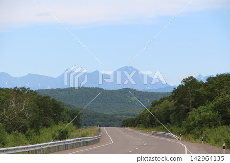 Winding road curves through lush green forest 142964135
