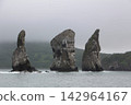 Three towering sea stacks rise from misty waters 142964167