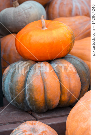Colorful autumn pumpkins, autumn decor for Halloween and Thanksgiving. Fall cozy atmosphere Colorful autumn pumpkins, autumn decor for Halloween and Thanksgiving. Fall cozy atmosphere 142964246