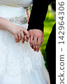 A close-up shot of a bride and groom holding hands, highlighting their matching gold wedding rings against the backdrop of a white lace bridal gown. 142964306