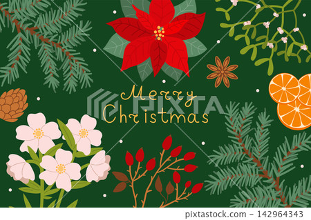 Christmas greeting background with handwritten Merry Christmas lettering surrounded by a red poinsettia, pink rose flowers, and pine branches. Flat vector winter holiday illustration on dark green. 142964343