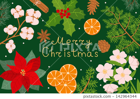 Christmas background featuring handwritten Merry Christmas text framed by a red poinsettia, holly berries, cotton bolls, and citrus slices. Flat vector winter floral illustration on dark green. Christmas background featuring handwritten Merry Christmas text framed by a red poinsettia, holly berries, cotton bolls, and citrus slices. Flat vector winter floral illustration on dark green. 142964344