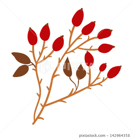 Vector illustration of a rosehip branch with red berries and brown leaves, isolated on a white background. Flat cartoon style autumn and winter holiday graphic element for festive designs. Vector illustration of a rosehip branch with red berries and brown leaves, isolated on a white background. Flat cartoon style autumn and winter holiday graphic element for festive designs. 142964358