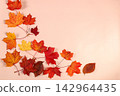 Abstract autumn composition featuring maple leaves against .Vibrant, beautiful banner and Hello Autumn greeting card. Thanksgiving themed still life and atmospheric seasonal backdrop 142964435