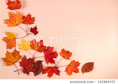Abstract autumn composition featuring maple leaves against .Vibrant, beautiful banner and Hello Autumn greeting card. Thanksgiving themed still life and atmospheric seasonal backdrop Abstract autumn composition featuring maple leaves against .Vibrant, beautiful banner and Hello Autumn greeting card. Thanksgiving themed still life and atmospheric seasonal backdrop 142964435