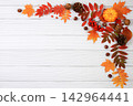 Abstract autumn composition with maple leaves, pine cones, nuts, pumpkins, and rowan berries, still life, Thanksgiving theme, seasonal background, website banner or header, greeting card 142964441