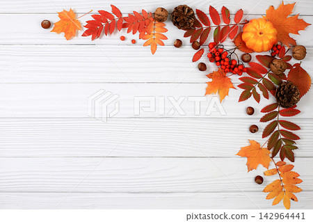 Abstract autumn composition with maple leaves, pine cones, nuts, pumpkins, and rowan berries, still life, Thanksgiving theme, seasonal background, website banner or header, greeting card 142964441