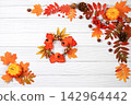 Seasonal banner featuring maple leaves, pine cones, nuts, pumpkins, and rowan berries, Thanksgiving themed still life or website header, an abstract autumn composition for a greeting card 142964442
