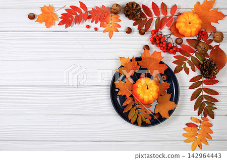 Seasonal banner featuring maple leaves, pine cones, nuts, pumpkins, and rowan berries, Thanksgiving themed still life or website header, an abstract autumn composition for a greeting card Seasonal banner featuring maple leaves, pine cones, nuts, pumpkins, and rowan berries, Thanksgiving themed still life or website header, an abstract autumn composition for a greeting card 142964443