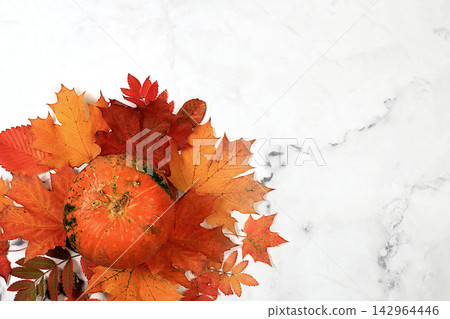 Seasonal banner featuring maple leaves and pumpkins Thanksgiving themed still life or website header, abstract autumn composition for greeting card or invitation with copy space, 142964446