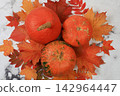Seasonal banner featuring maple leaves and pumpkins Thanksgiving themed still life or website header, abstract autumn composition for greeting card or invitation with copy space, 142964447