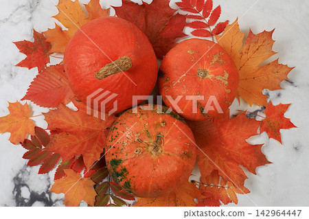 Seasonal banner featuring maple leaves and pumpkins Thanksgiving themed still life or website header, abstract autumn composition for greeting card or invitation with copy space, 142964447