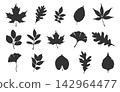 Autumn leaves svg bundle, Autumn leaf silhouette set on white background, Autumn leaves clipart, Autumn leaf vector set -V02. 142964477