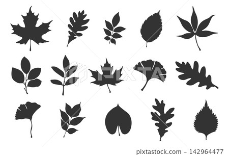 Autumn leaves svg bundle, Autumn leaf silhouette set on white background, Autumn leaves clipart, Autumn leaf vector set -V02. Autumn leaves svg bundle, Autumn leaf silhouette set on white background, Autumn leaves clipart, Autumn leaf vector set -V02. 142964477
