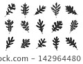 Set of fifteen oak leaf silhouettes isolated on a white background, Oak leaf vector set, Oak leaf svg, Oak leaf clipart. 142964480
