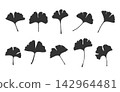 Set of black ginkgo leaf silhouettes isolated on a white background vector graphic illustration, Ginkgo leaf silhouette set, Ginkgo leaf vectors, Ginkgo leaf clipart. 142964481