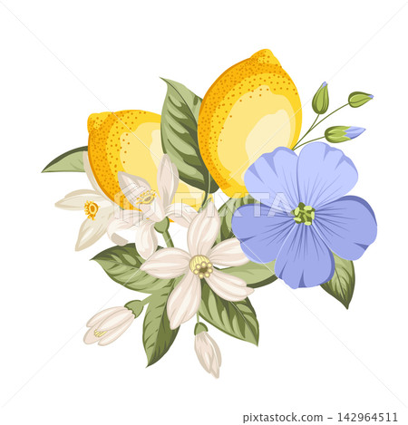 Lemons with flax flowers, citrus blossoms and green foliage. Botanical vector composition. Lemons with flax flowers, citrus blossoms and green foliage. Botanical vector composition. 142964511