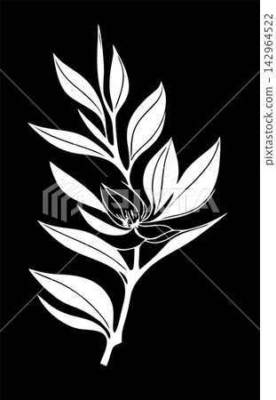 Simple white graphic drawing of magnoli flower against black background, logo Simple white graphic drawing of magnoli flower against black background, logo 142964522