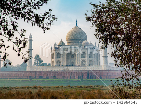 Amazing   morning view at Taj Mahal  from Mahtab Bagh garden. A little fog in Agra. February 142964545