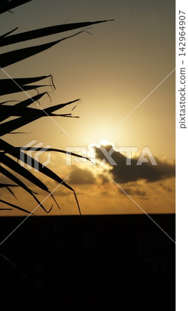 A new morning light that conveys progress and growth. A new morning light that conveys progress and growth. 142964907