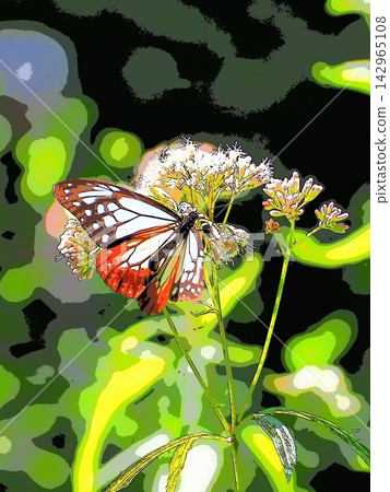 Chestnut Tiger butterfly and Eupatorium fortunei (afr20260914124316) Chestnut Tiger butterfly and Eupatorium fortunei (afr20260914124316) 142965108