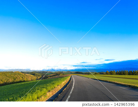 A scene of a single road on a hill in Biei, Hokkaido, at dusk in autumn. A scene of a single road on a hill in Biei, Hokkaido, at dusk in autumn. 142965396