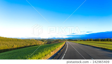 A scene of a single road on a hill in Biei, Hokkaido, at dusk in autumn. A scene of a single road on a hill in Biei, Hokkaido, at dusk in autumn. 142965409