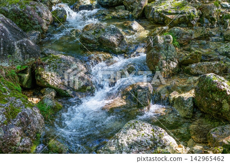 A clear stream flowing through a valley lush with new greenery, and moss-covered rocks – a natural landscape. A clear stream flowing through a valley lush with new greenery, and moss-covered rocks – a natural landscape. 142965462