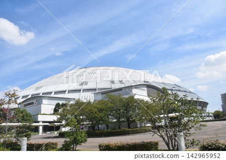 Vantelin Dome名古屋 Vantelin Dome名古屋 142965952