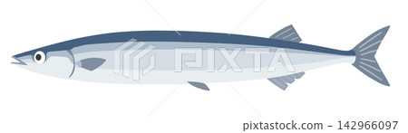 秋刀魚 142966097