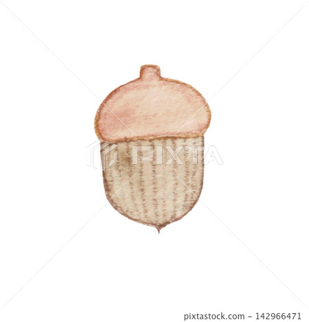可愛的手繪水彩橡子插圖 可愛的手繪水彩橡子插圖 142966471