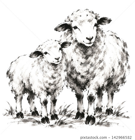 Sheep/ink painting Sheep/ink painting 142966582