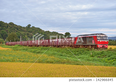 關北本線、伊賀牛-愛別、JR貨運、DF200-5(五稜郭)、洋蔥列車 關北本線、伊賀牛-愛別、JR貨運、DF200-5(五稜郭)、洋蔥列車 142966845