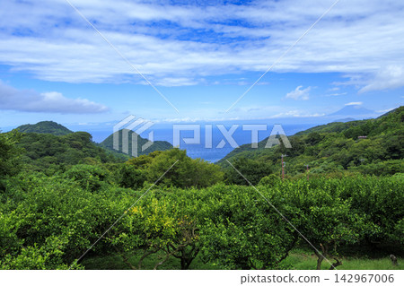 石部梯田的秋天 石部梯田的秋天 142967006