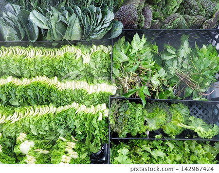 Variety of Fresh Green Leafy Vegetables in Refrigerator Display Variety of Fresh Green Leafy Vegetables in Refrigerator Display 142967424