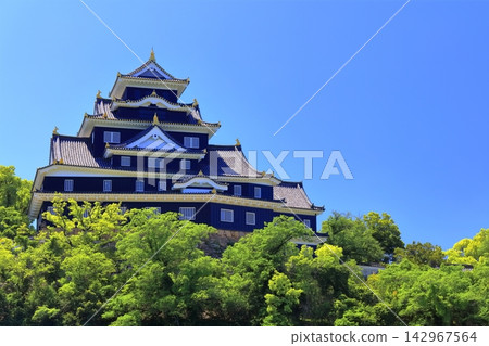 [Okayama Prefecture] Okayama Castle in Spring (Spring Torijo Lantern Festival) 142967564