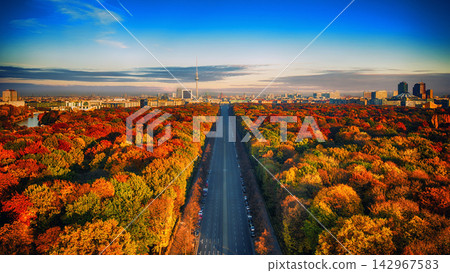 Berlin Skyline and Tiergarten Autumn Park Panorama at Sunset Berlin Skyline and Tiergarten Autumn Park Panorama at Sunset 142967583