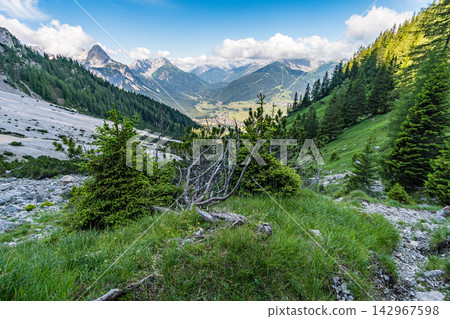 Mountain Landscape with Alpine Forest Valley and Panoramic View Mountain Landscape with Alpine Forest Valley and Panoramic View 142967598