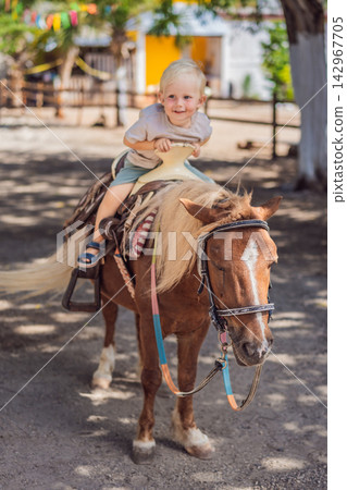 Toddler has fun on a pony during a family farm visit. Happy riding experiences and outdoor family fun. Toddler has fun on a pony during a family farm visit. Happy riding experiences and outdoor family fun. 142967705