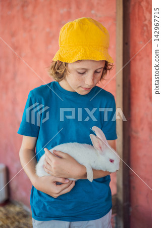 Smiling boy enjoys holding a white rabbit during a farm visit. Joy and connection during a farm animal encounter. Smiling boy enjoys holding a white rabbit during a farm visit. Joy and connection during a farm animal encounter. 142967715