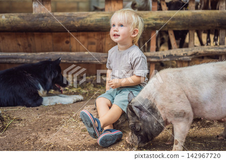 Happy toddler enjoys meeting a pig and dog at a petting farm. Joy and connection during a farm animal encounter. Happy toddler enjoys meeting a pig and dog at a petting farm. Joy and connection during a farm animal encounter. 142967720