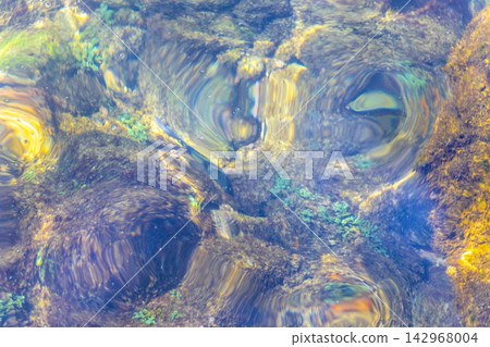 Tropical fish swimming in green turquoise and blue water Brazil. 142968004