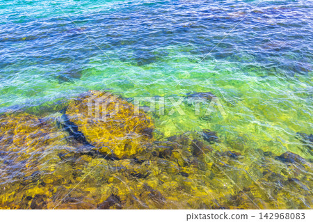 Sea turtle Turtles swim to the water surface in Brazil. Sea turtle Turtles swim to the water surface in Brazil. 142968083